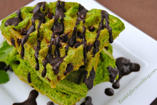 Mint Chocolate Chip Protein Waffle -