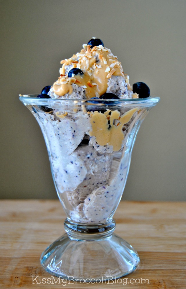 Blueberry Protein Ice Cream 1