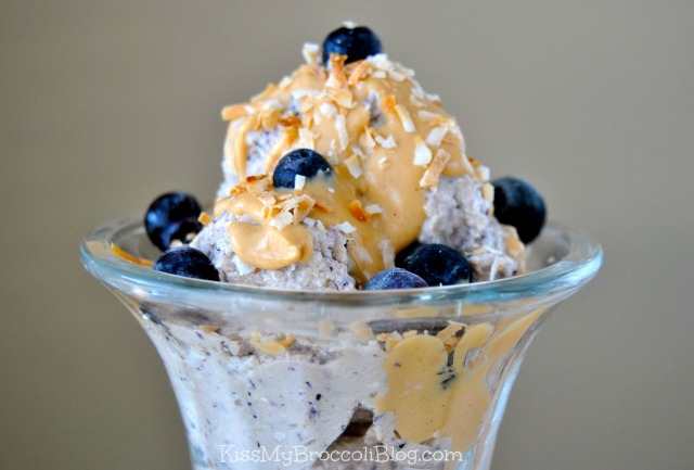 Blueberry Protein Ice Cream 5
