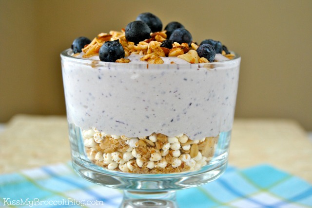 Blueberry Protein Pudding 1