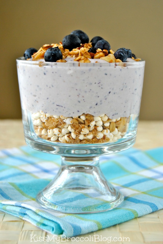 Blueberry Protein Pudding 2