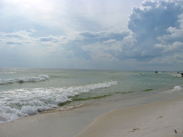 Florida 2013