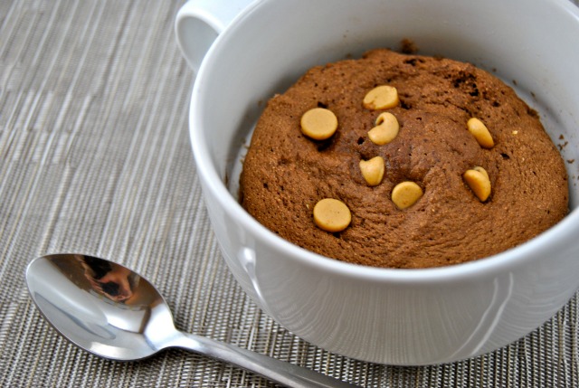 Chocolate Peanut Butter Mug Cake