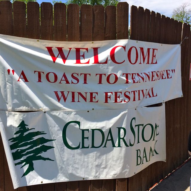 Wine Fest - Toast to Tennessee 2014