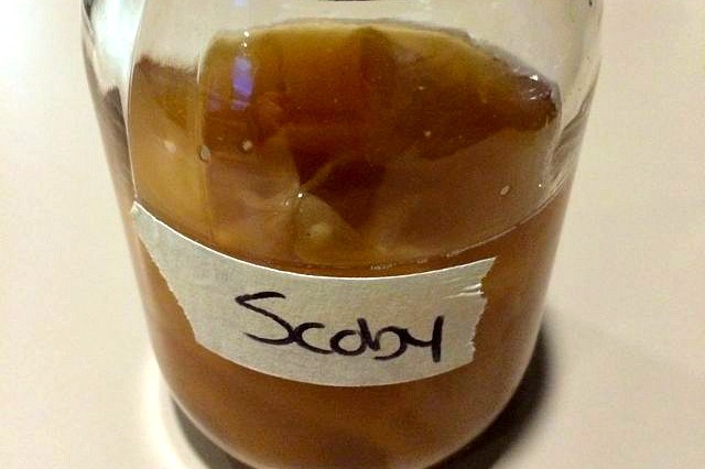 Scoby in a Jar