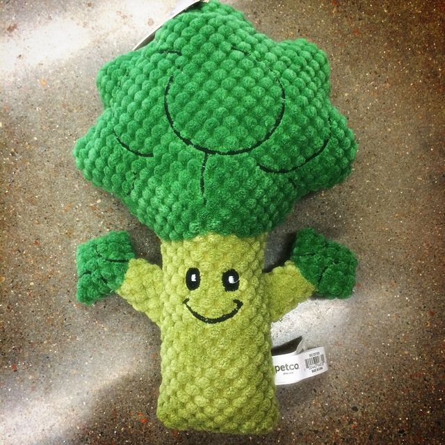 Little Broccoli
